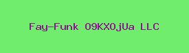 Fay-Funk O9KXOjUa LLC Logo