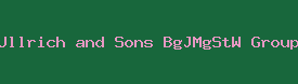 Ullrich and Sons BgJMgStW Group