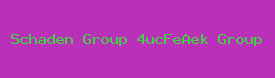 Schaden Group 4ucFeAek Group