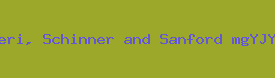 Balistreri, Schinner and Sanford mgYJYv2S Ltd Logo