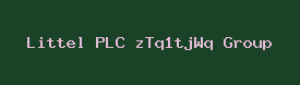 Littel PLC zTq1tjWq Group