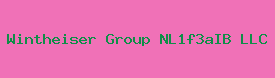 Wintheiser Group NL1f3aIB LLC